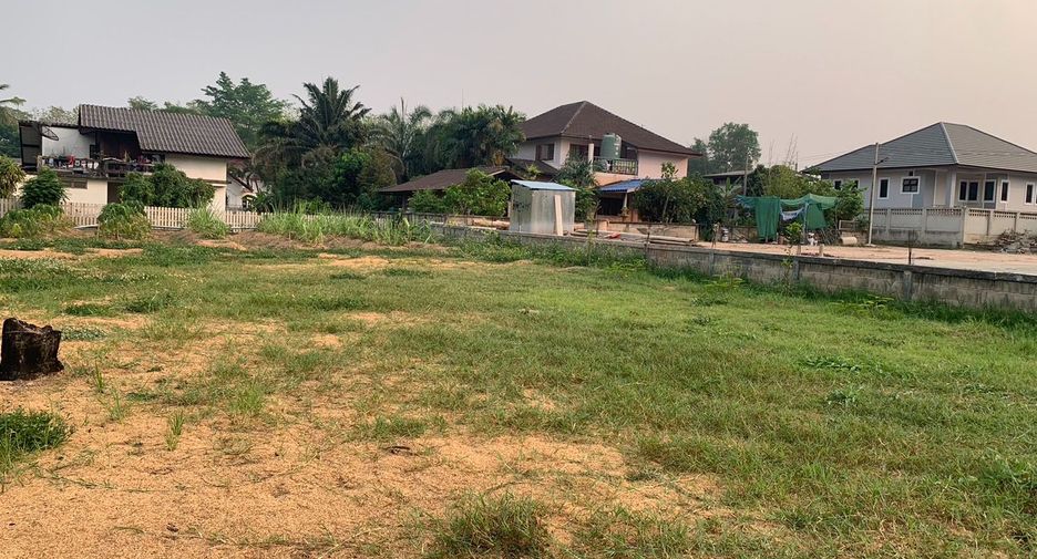 For sale land in Chiang Kham, Phayao
