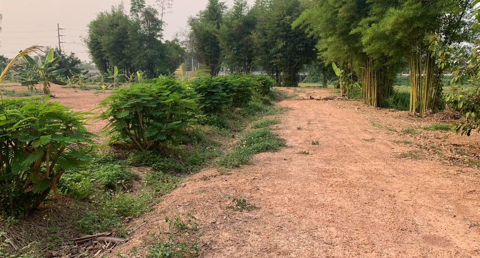 For sale land in Chiang Kham, Phayao