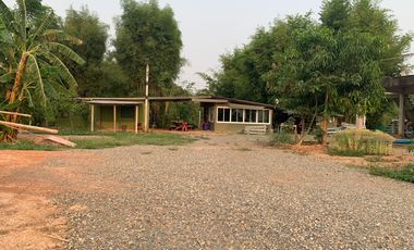 For sale land in Chiang Kham, Phayao