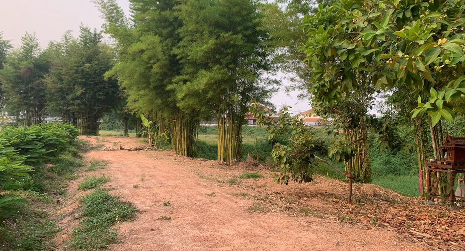 For sale land in Chiang Kham, Phayao