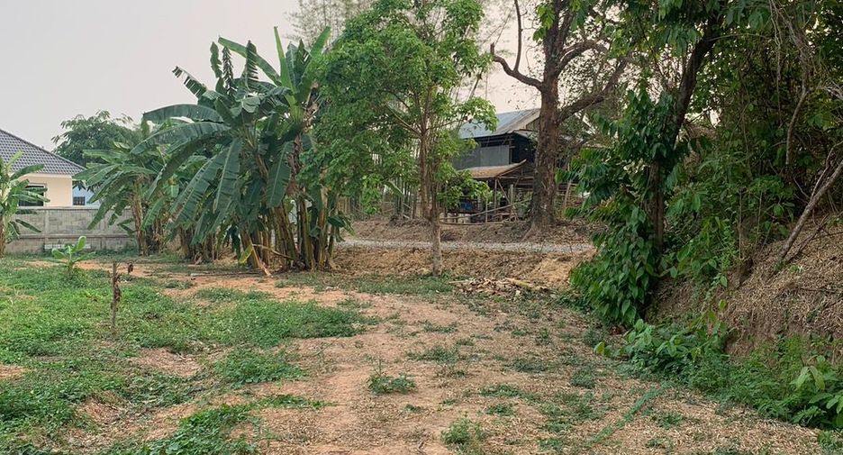 For sale land in Chiang Kham, Phayao