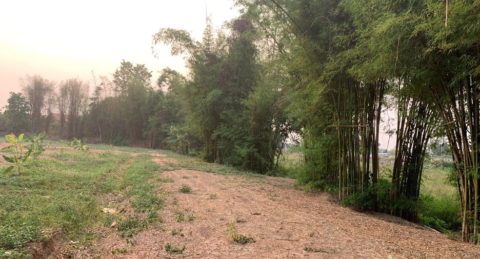 For sale land in Chiang Kham, Phayao