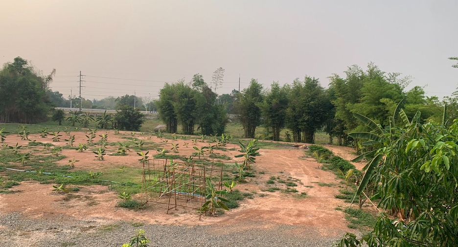 For sale land in Chiang Kham, Phayao