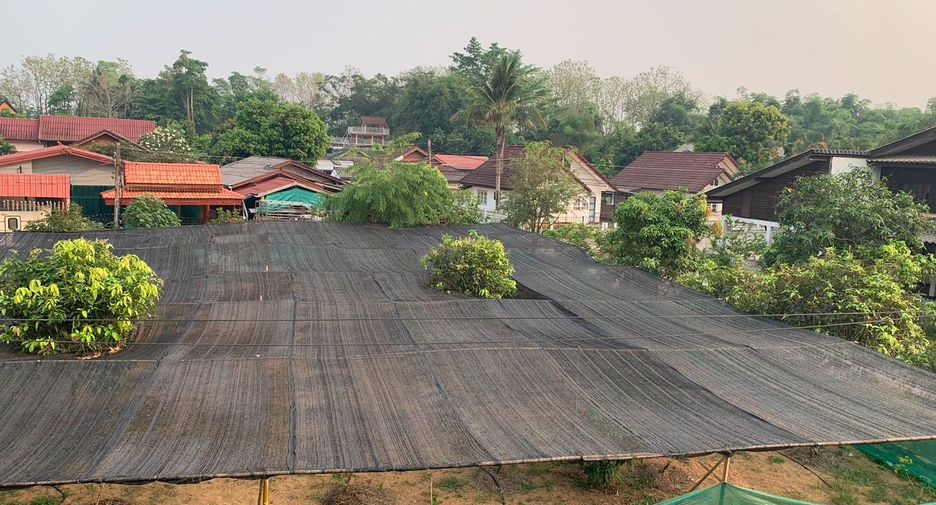 For sale land in Chiang Kham, Phayao