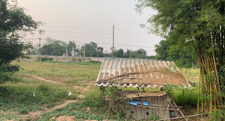 For sale land in Chiang Kham, Phayao