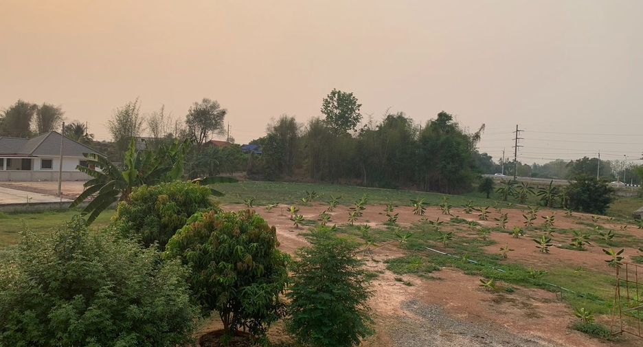 For sale land in Chiang Kham, Phayao