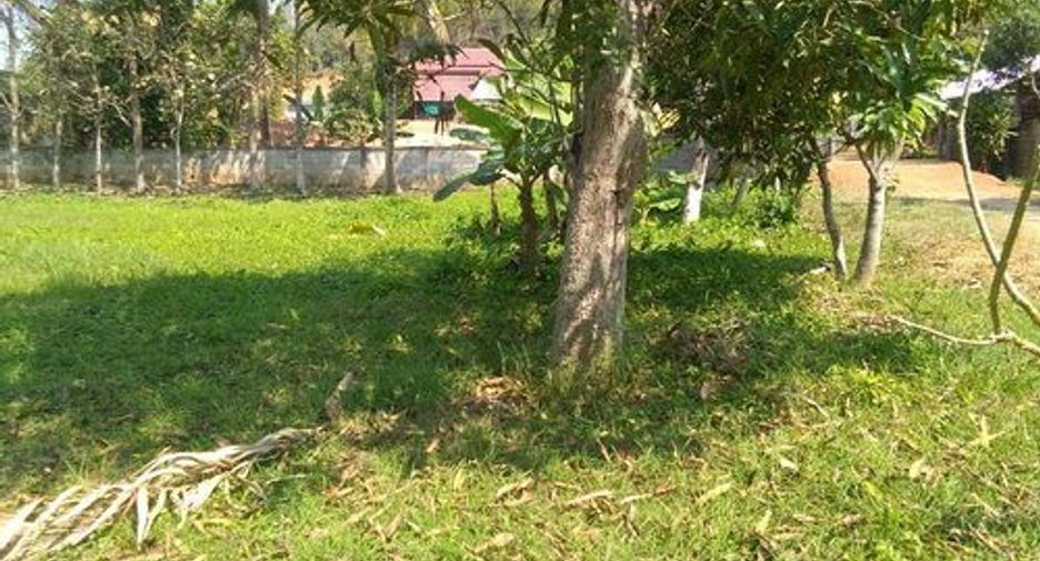 For sale land in Mae Chan, Chiang Rai