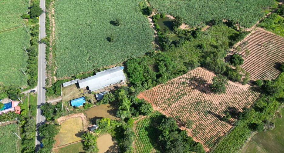 For sale land in Phu Khiao, Chaiyaphum