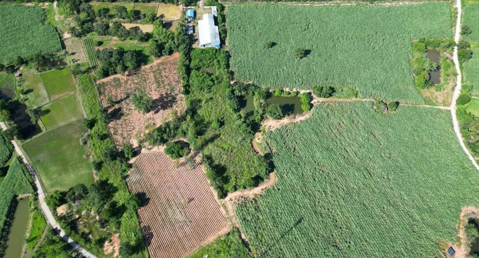 For sale land in Phu Khiao, Chaiyaphum