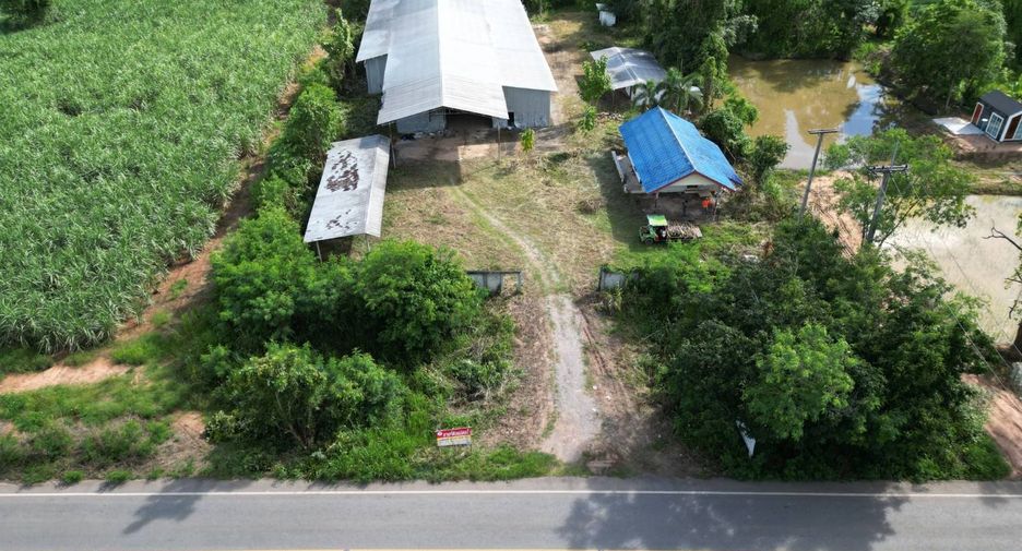 For sale land in Phu Khiao, Chaiyaphum