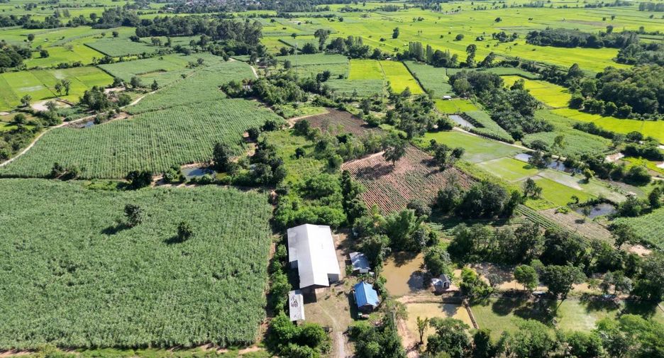 For sale land in Phu Khiao, Chaiyaphum