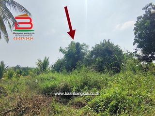 For sale land in Kao Liao, Nakhon Sawan