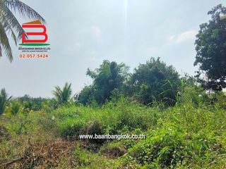 For sale land in Kao Liao, Nakhon Sawan