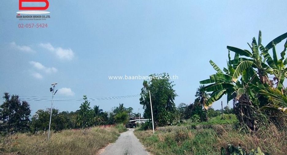 For sale land in Kao Liao, Nakhon Sawan