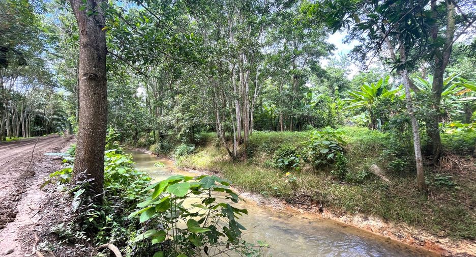 For sale land in Takua Thung, Phang Nga