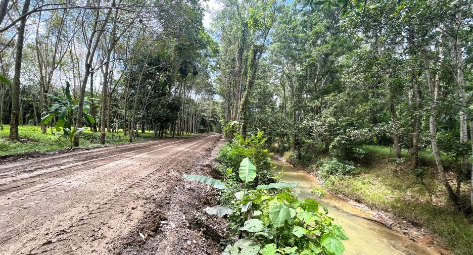 For sale land in Takua Thung, Phang Nga