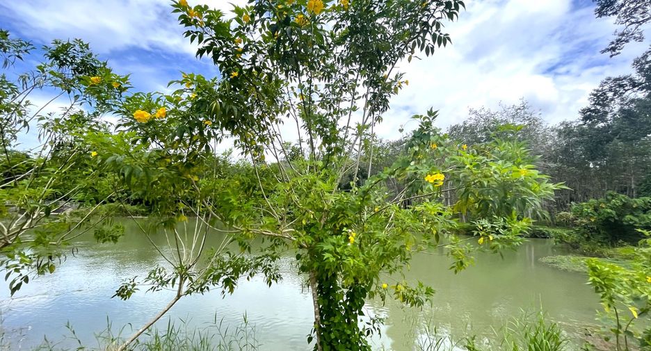 For sale land in Takua Thung, Phang Nga