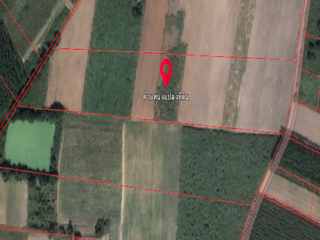 For sale land in Ko Chan, Chonburi