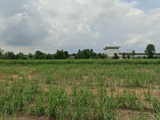 For sale land in Ko Chan, Chonburi