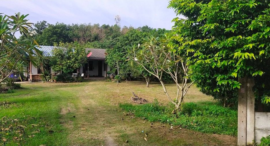 For sale land in Plaeng Yao, Chachoengsao