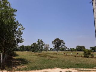 For sale land in Uthumphon Phisai, Sisaket