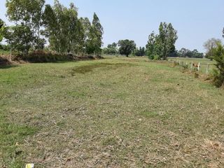 For sale land in Uthumphon Phisai, Sisaket