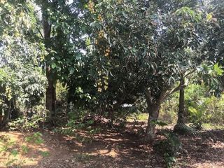 For sale land in Mae Chan, Chiang Rai