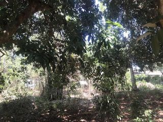 For sale land in Mae Chan, Chiang Rai