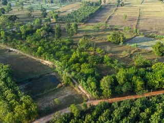 For sale land in Samrong, Ubon Ratchathani