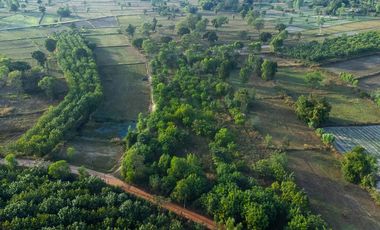 For sale land in Samrong, Ubon Ratchathani