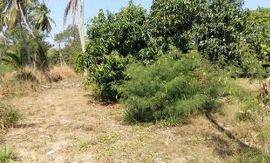 À vendre terrain à Si Racha, Chonburi