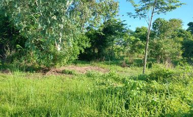 ขาย ที่ดิน ใน เมืองหนองคาย, หนองคาย