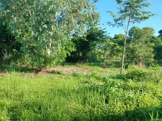For sale land in Mueang Nong Khai, Nong Khai