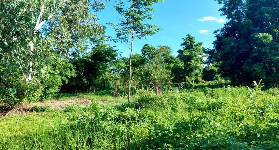 Продажа Участок в Mueang Nong Khai, Нонгкхай