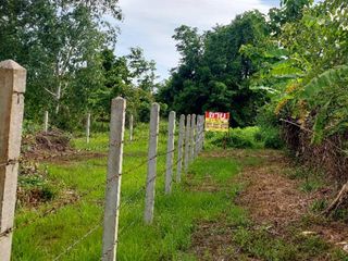 For sale land in Mueang Nong Khai, Nong Khai