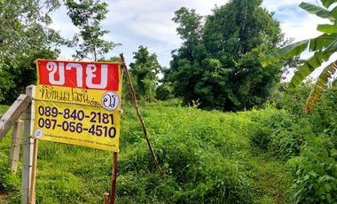 ขาย ที่ดิน ใน เมืองหนองคาย, หนองคาย