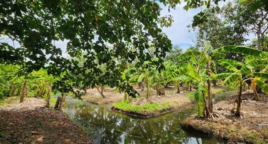 ขาย ที่ดิน ใน ธัญบุรี, ปทุมธานี
