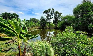 ขาย ที่ดิน ใน ธัญบุรี, ปทุมธานี