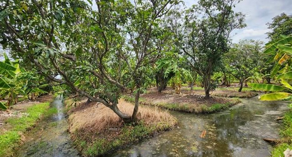 ขาย ที่ดิน ใน ธัญบุรี, ปทุมธานี