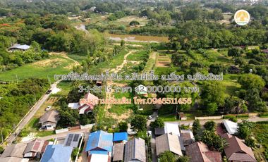 For sale land in Mae Rim, Chiang Mai