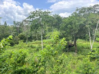 出售 土地 在 Takua Thung, Phangnga