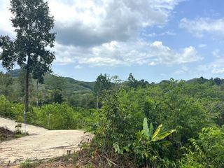 出售 土地 在 Takua Thung, Phangnga