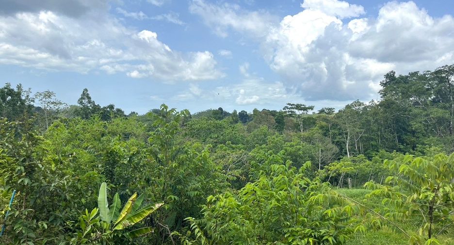 For sale land in Takua Thung, Phang Nga