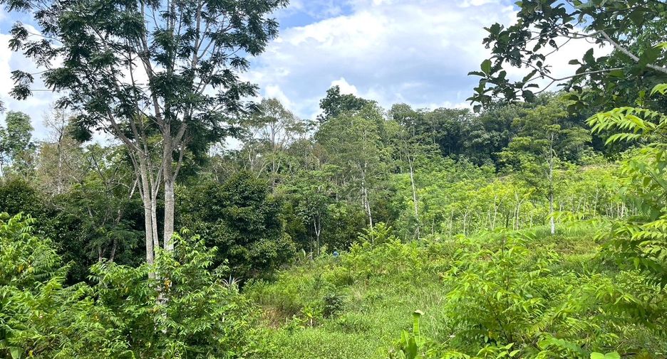 For sale land in Takua Thung, Phang Nga