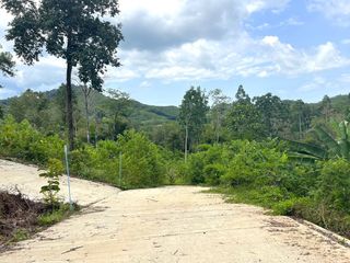 出售 土地 在 Takua Thung, Phangnga