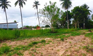 À vendre terrain à Bang Lamung, Chonburi