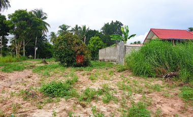À vendre terrain à Bang Lamung, Chonburi