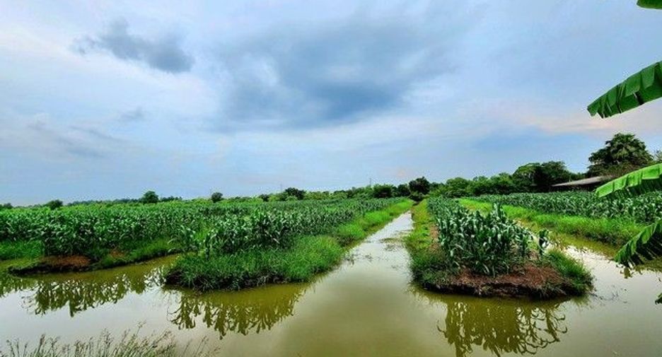 ขาย ที่ดิน ใน ธัญบุรี, ปทุมธานี