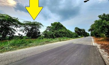 ขาย ที่ดิน ใน ธัญบุรี, ปทุมธานี