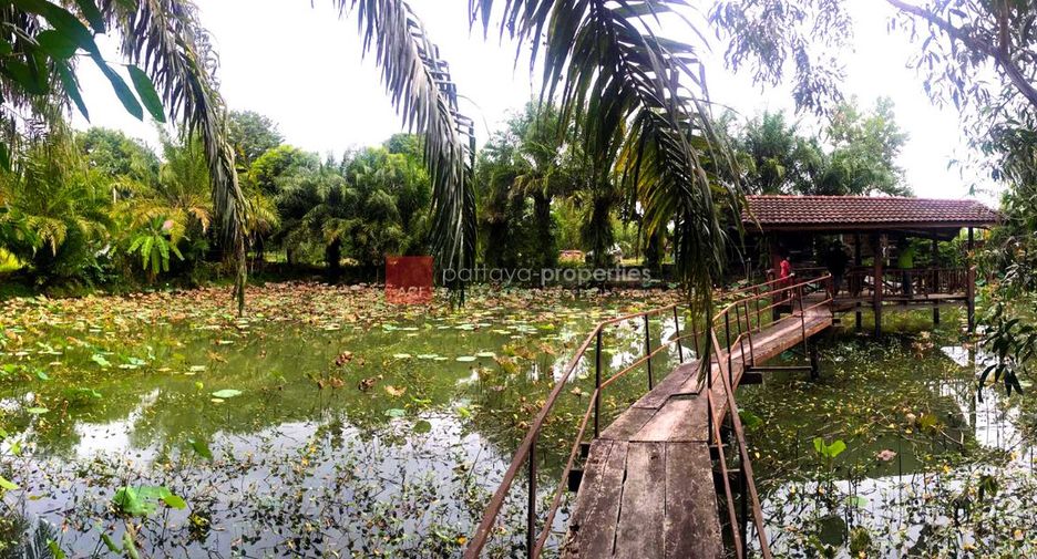 ขาย ที่ดิน ใน บางละมุง, ชลบุรี